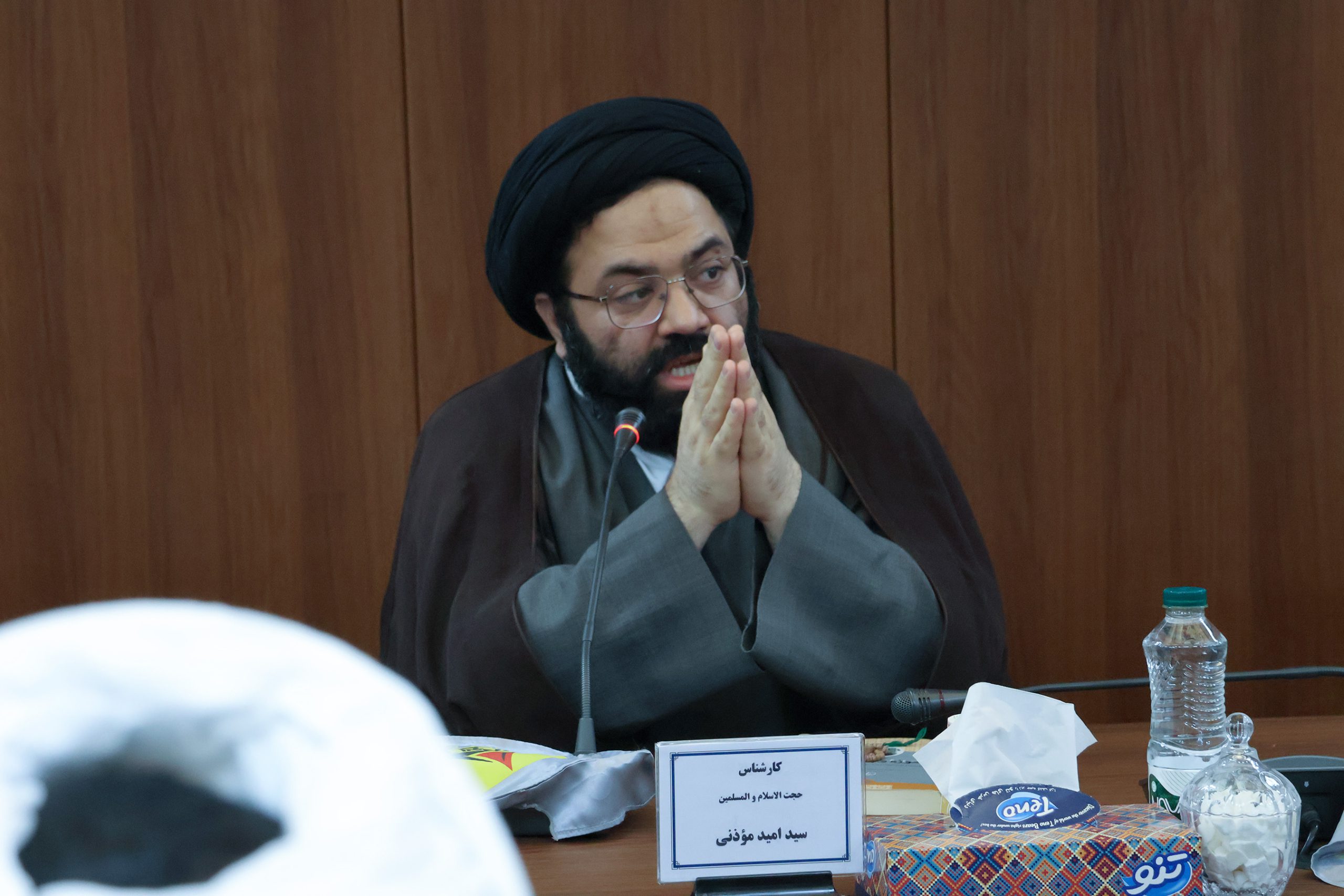 استاد سیدامید مؤذنی
