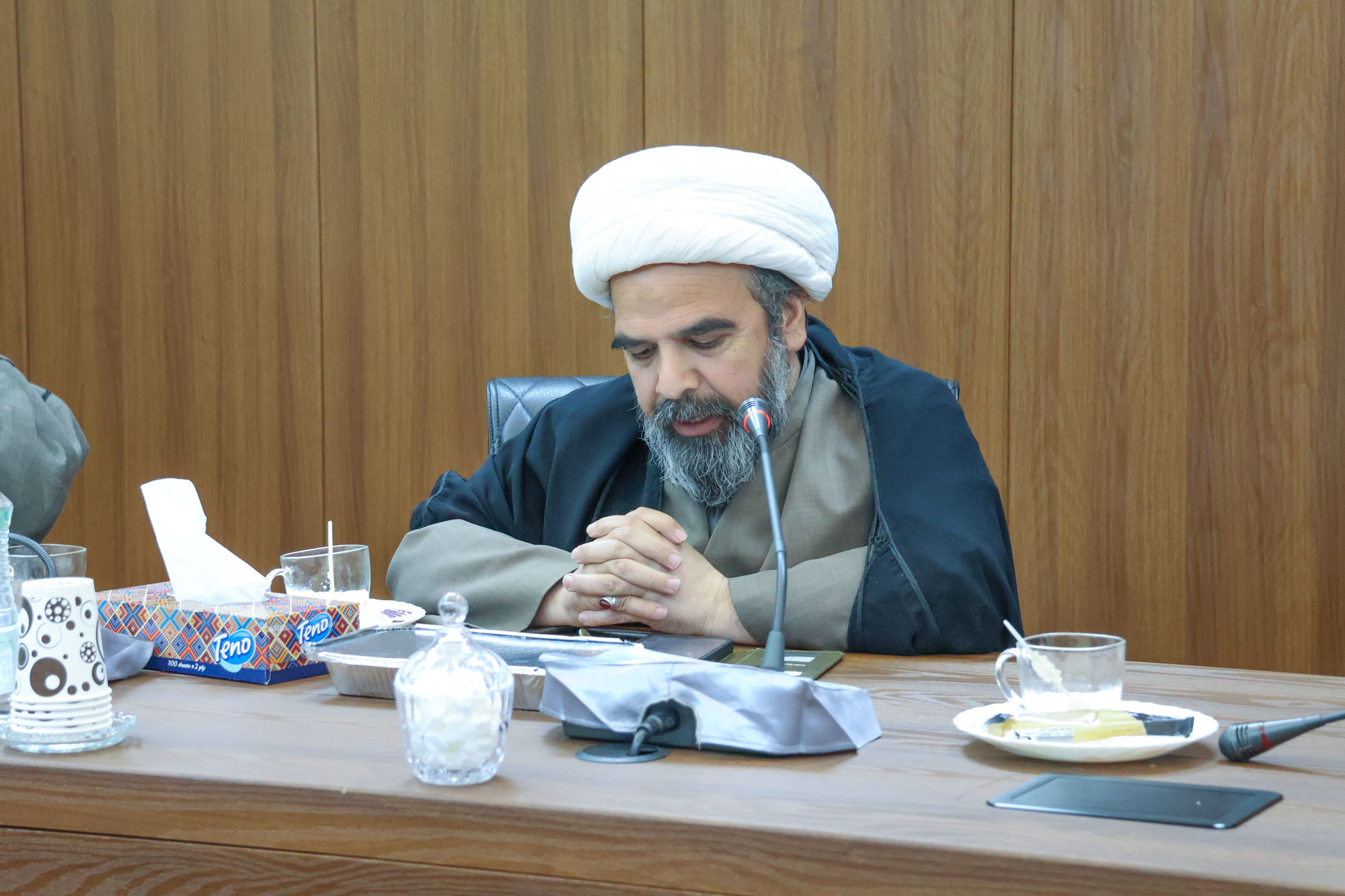 استاد مصطفی محسنی